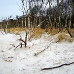 Darssmuschel Dierhagen-strand - Haus 2 *