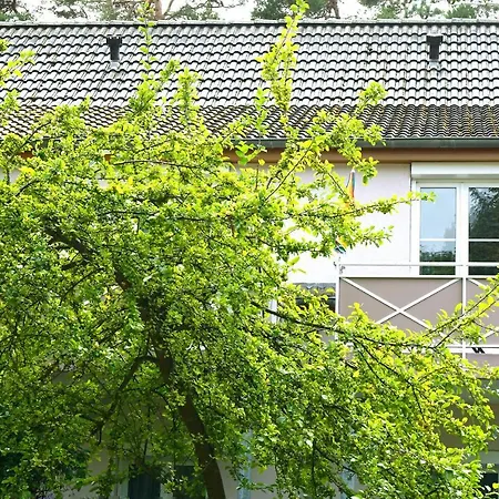 Darssmuschel Dierhagen-strand - Haus 2 アパート *