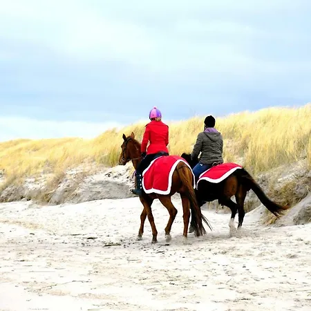 Darssmuschel Dierhagen-strand - Haus 2 *