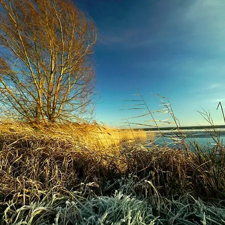 アパート Darssmuschel Dierhagen-strand - Haus 2 オストゼーバート・ディアーハーゲン