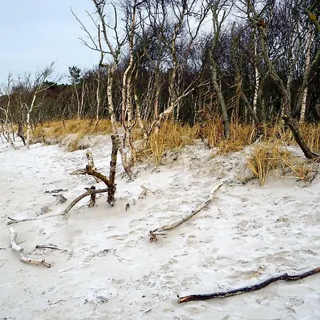 Darssmuschel Dierhagen-strand - Haus 2 *