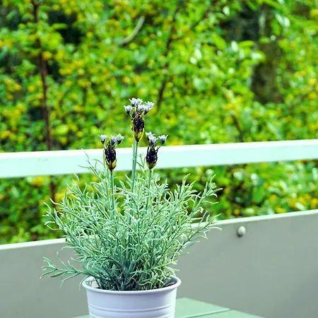 アパート Darssmuschel Dierhagen-strand - Haus 2