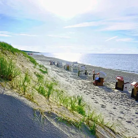 Apartmán Darssmuschel Dierhagen-strand - Haus 2 *